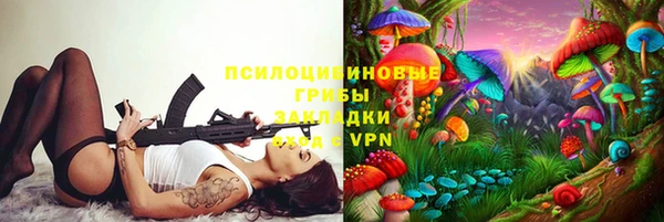 ешки Абинск