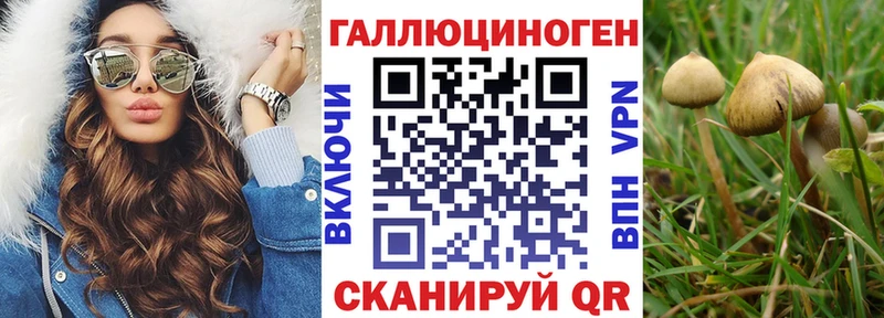 где найти наркотики  Ханты-Мансийск  Галлюциногенные грибы мицелий 